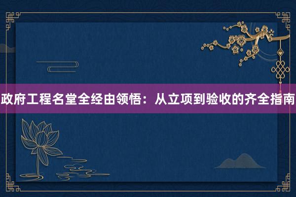 政府工程名堂全经由领悟：从立项到验收的齐全指南